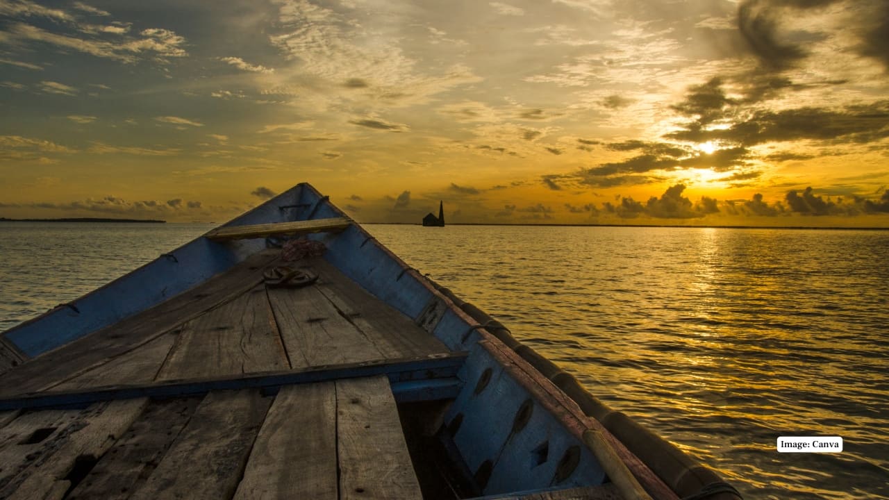 Nature’s Annual Reunion: Chilika Lagoon Welcomes Migratory Birds from Across Continents
