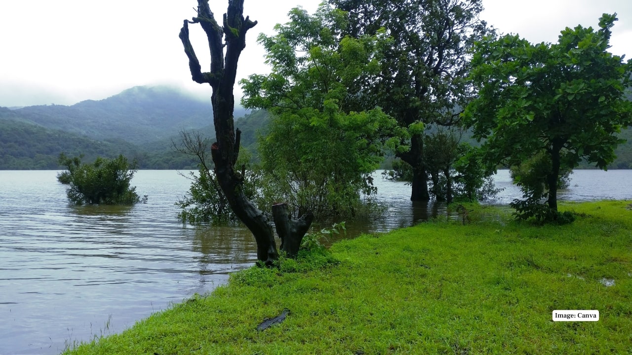 Escape the Smog: 7 Offbeat Nature Spots Near Mumbai You Have Probably Missed