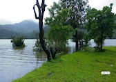 Escape the Smog: 7 Offbeat Nature Spots Near Mumbai You Have Probably Missed