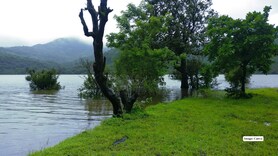 Escape the Smog: 7 Offbeat Nature Spots Near Mumbai You Have Probably Missed