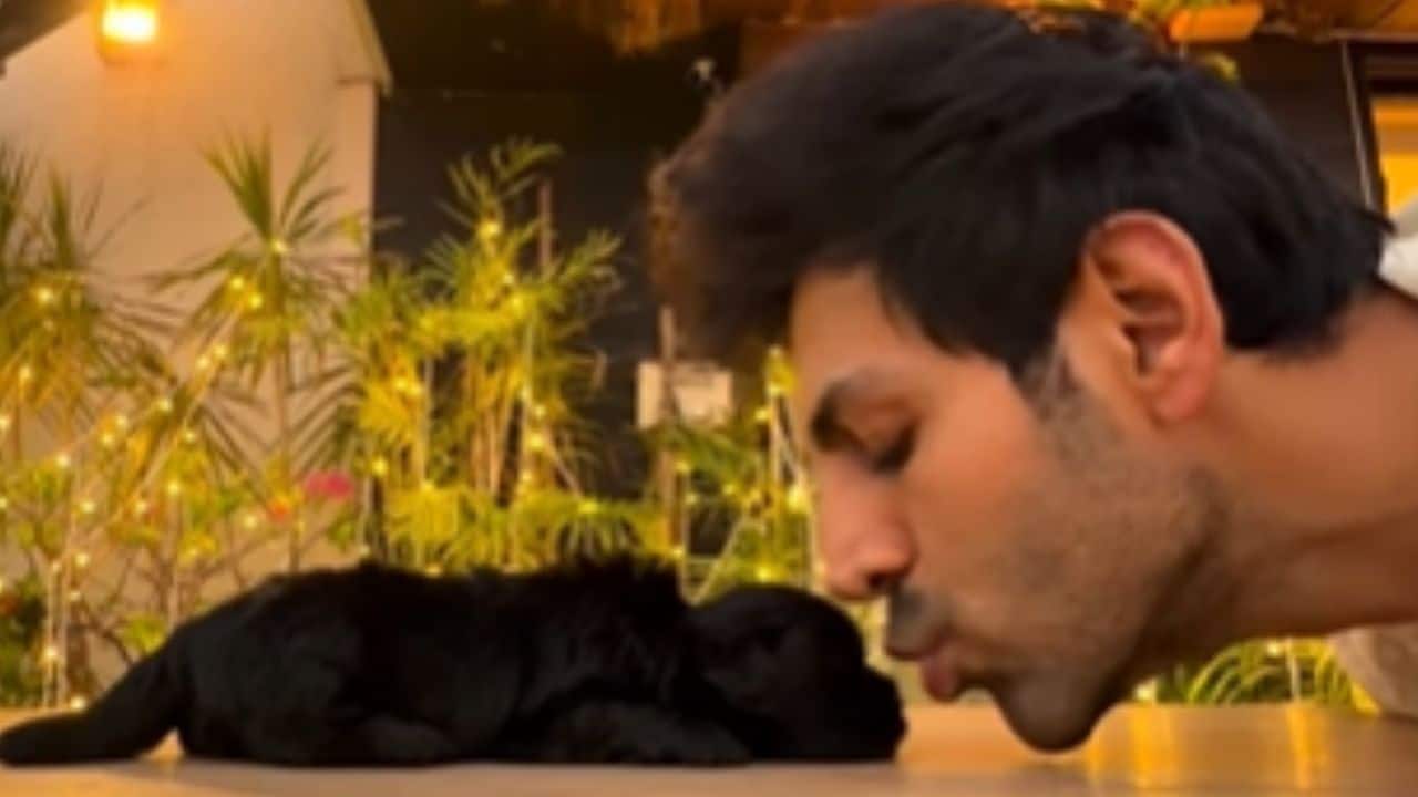 Kartik Aaryan welcomes a new family member this Diwali; introduces Chatori Aaryan on Instagram - watch video