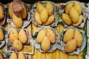Study shows daily mango intake may help control blood sugar