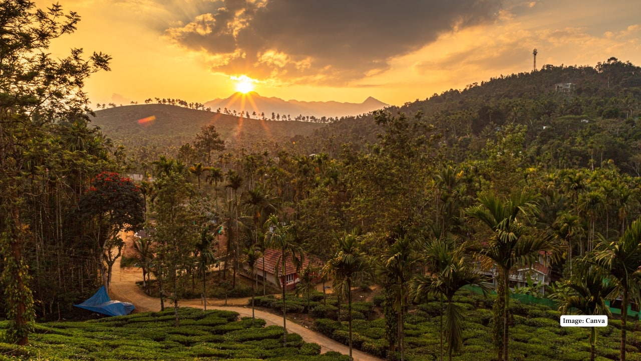 Wayanad - Forest Bliss to South Travellers The western Ghats (Wayanad) of Kerala has the jungle trails, waterfalls and heritage caves. It is a tranquil and affordable destination that is approximately five hours away in Kochi or Bengaluru, and requires travellers wishing to experience greenery. (Image: Canva)