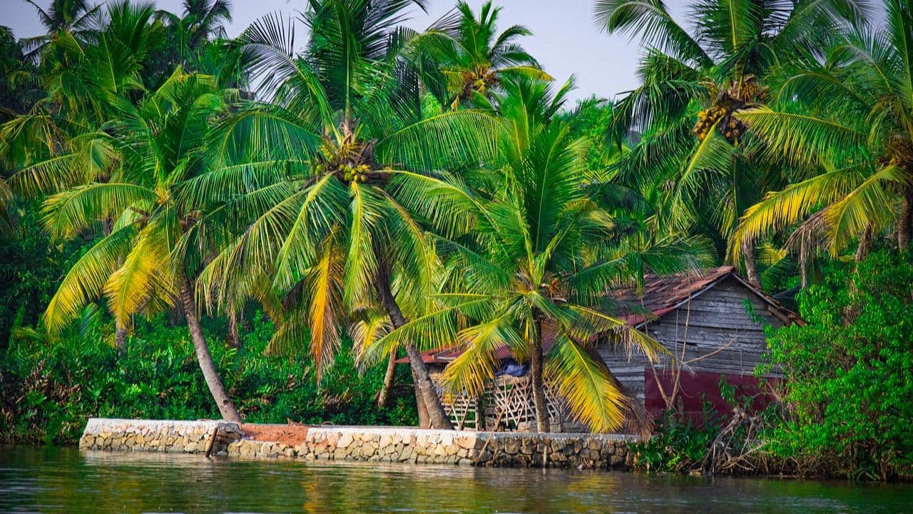 Kerala weather alert: Heavy rain, flood risk high as IMD issues orange and yellow warnings