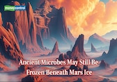 Mars ice could preserve traces of ancient life for 50 million years, study finds