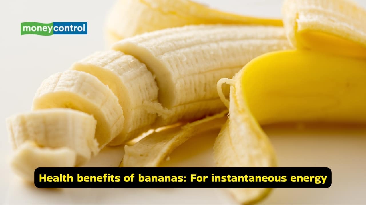 Exercise diet 10 best foods to power your workouts (Image: Canva)