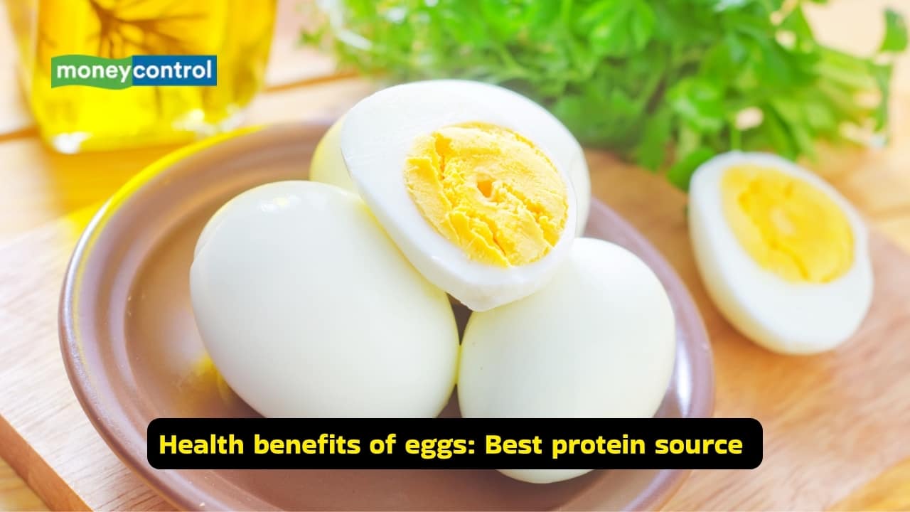 Exercise diet 10 best foods to power your workouts (Image: Canva)