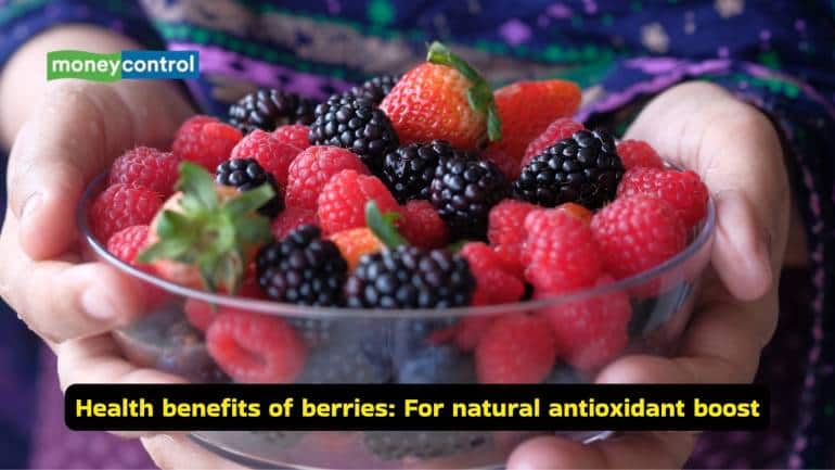 Exercise diet 10 best foods to power your workouts (Image: Canva)