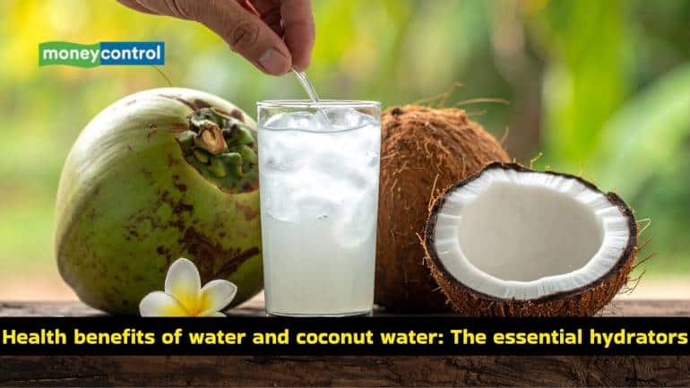 Exercise diet 10 best foods to power your workouts (Image: Canva)