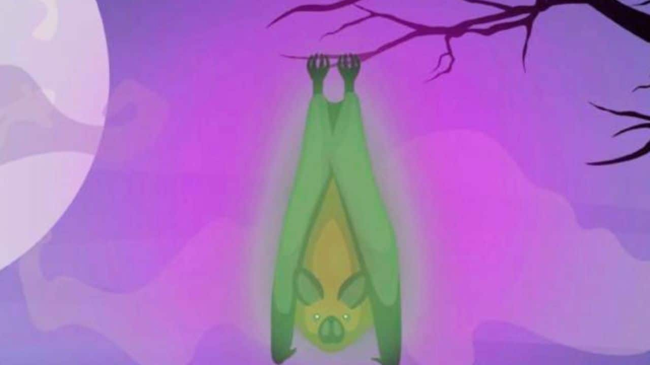 Bats found glowing bright green under UV light, scientists may know why