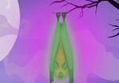 Bats found glowing bright green under UV light, scientists may know why