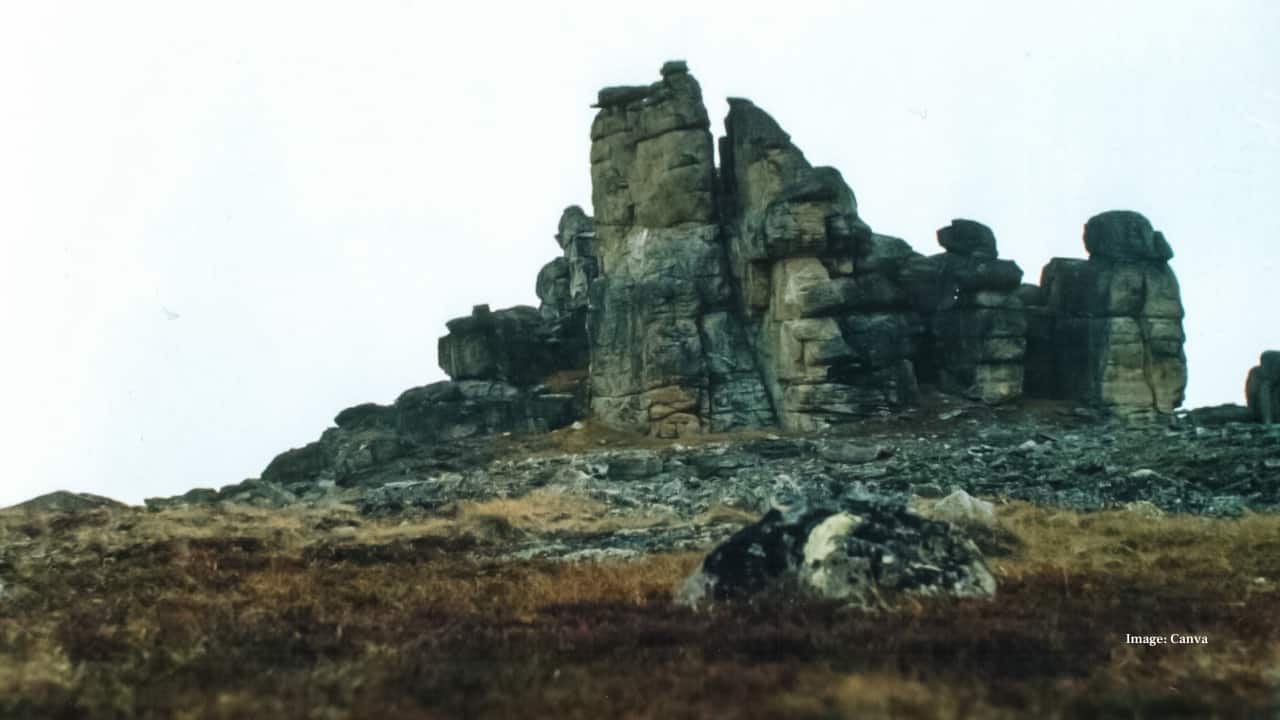7. Wrangel Island, Russia A UNESCO World Heritage Site deep in the Arctic Ocean, Wrangel Island is home to one of the world’s highest densities of polar bears. Its tundra blooms with Arctic wildflowers in summer, untouched by modern development.