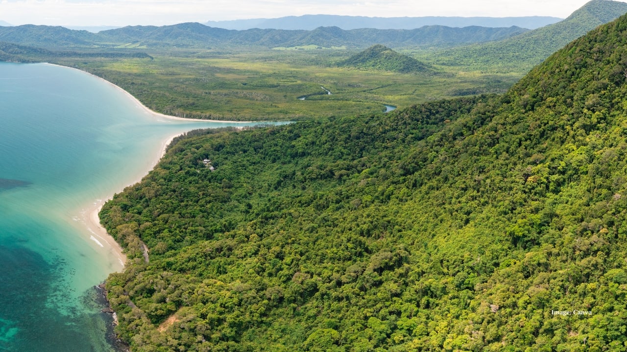 1. Daintree Rainforest, Australia — The Ancient Emerald Realm Believed to be over 180 million years old, the Daintree is the world’s oldest tropical rainforest. Its moss-covered trees, winding rivers, and elusive wildlife make it feel almost primeval. Trek through dense canopies or glide along the Daintree River to spot crocodiles lurking beneath the surface. (Image: Canva)