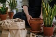 Winter is coming, get ready with these 5 DIY ideas to transition your home from summer to winter trends