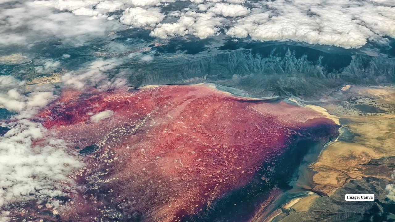 Lake Natron, Tanzania The lake is blood-red, alkaline and is capable of making flamingos pink and can calcify animals. It is one of the most surreal natural phenomena on Earth due to the spooky yet stunning view. (Image: Canva)