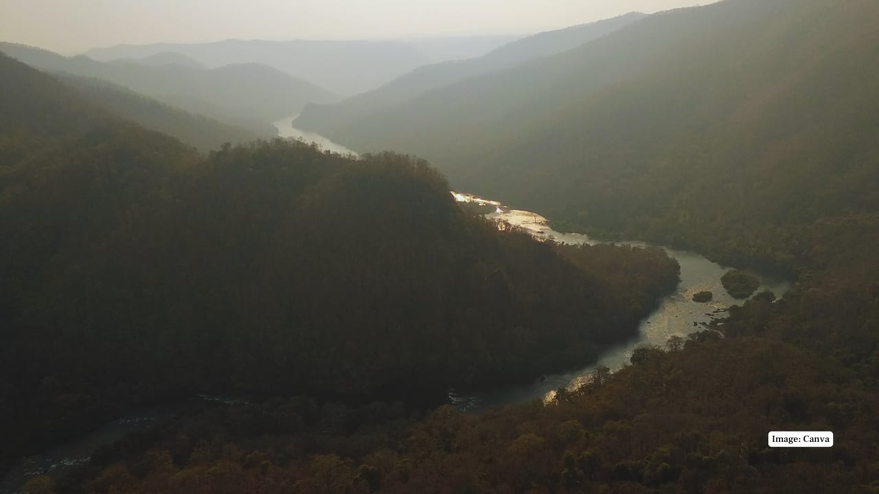 Dandeli, Karnataka A natural adventure with rafting and a forested area with a lot of wildlife. Dandeli is a combination of a mix of adrenaline and tranquillity, and it is accessible within a few hours of Bengaluru. (Image: Canva)