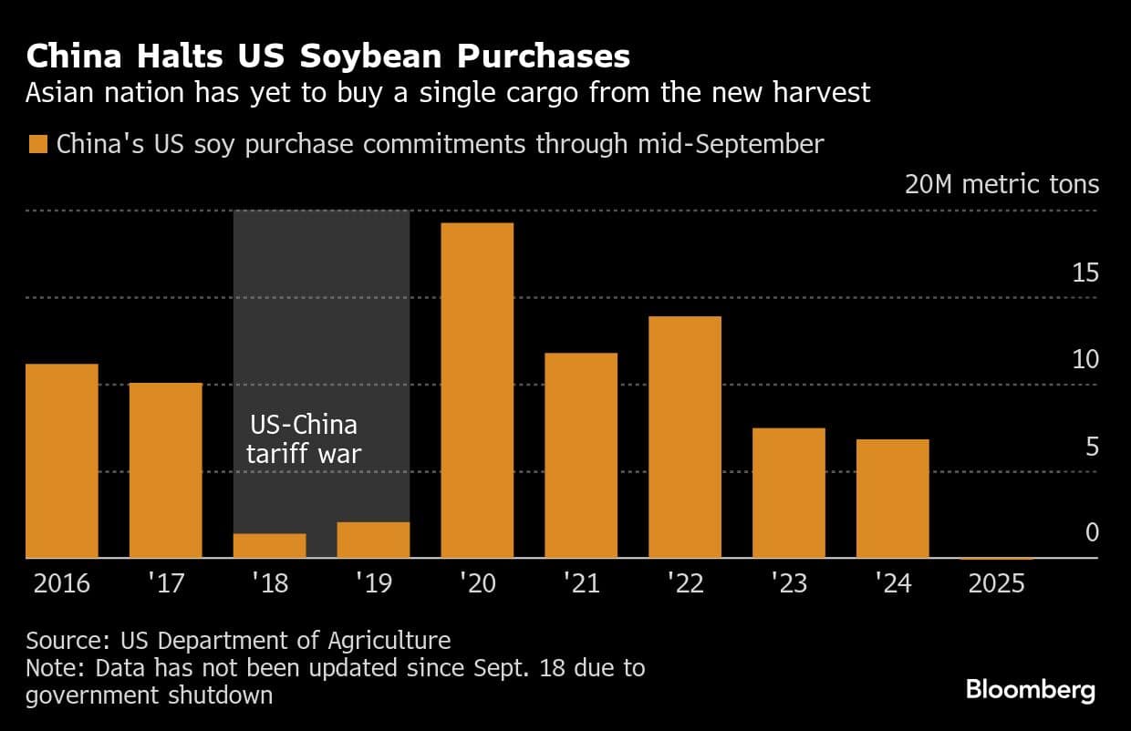 China Halts US Soybean Purchases | Asian nation has yet to buy a single cargo from the new harvest