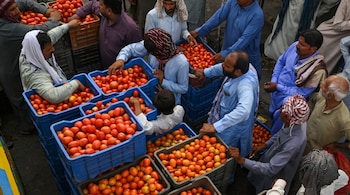 Workers arrange crates of tomatoes at a market in Lahore on June 9, 2025, on the eve of Pakistan's federal budget unveiling. (Photo by Arif ALI / AFP)