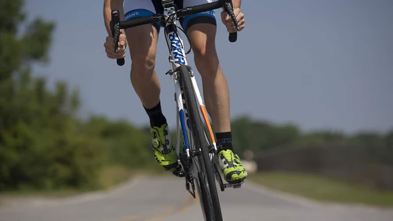 Abtak.com - Sports - News Image