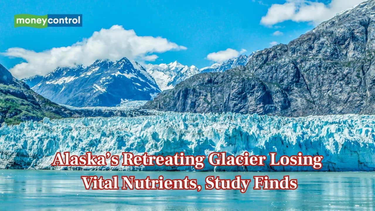 Melting glaciers losing nutrient strength, raising concerns for marine life