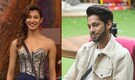 Bigg Boss 19: Baseer Ali and Neha Chudasama reportedly to get eliminated this weekend?