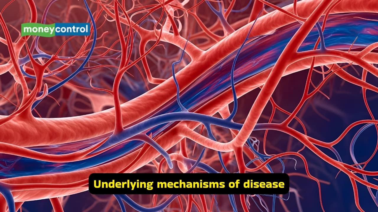 Symptoms of Diabetic Foot and causes (Images: Canva)