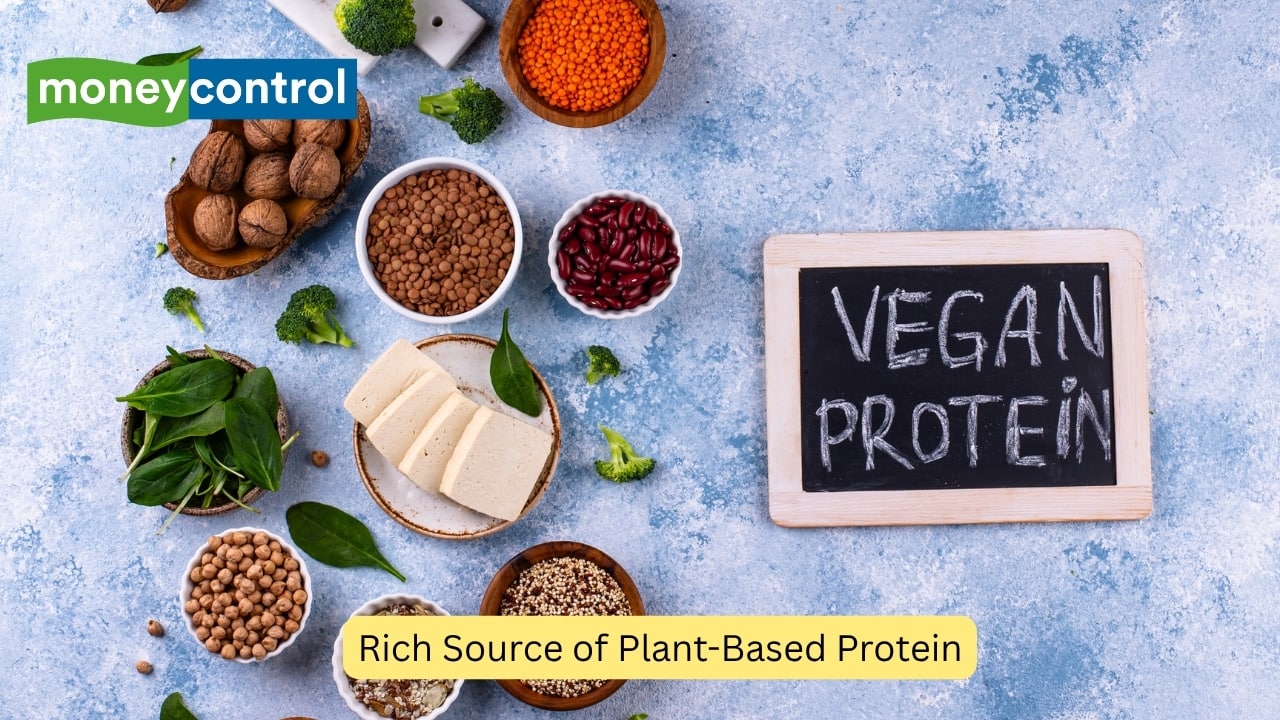 Rich Source of Plant-Based Protein Watermelon seeds contain nearly 35 grams of protein per 100 grams, making them a powerful vegetarian protein source. Regular intake supports muscle repair, tissue growth and better strength — ideal for those on plant-based diets.(Image: Canva)