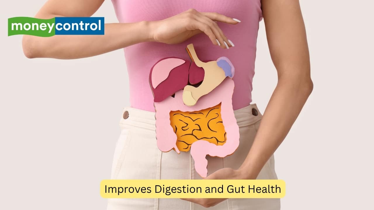 Improves Digestion and Gut Health A good source of dietary fibre, these seeds promote smooth digestion and relieve bloating or constipation. Regular intake helps keep your gut clean and supports better nutrient absorption.(Image: Canva)