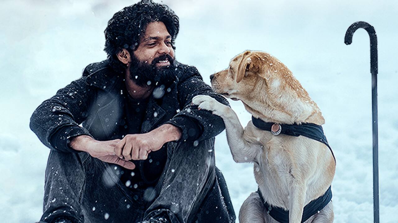 6. 777 Charlie (Kannada, 2022) - This heartfelt film about a man and his dog was produced for roughly Rs 20 crore and grossed over Rs 100 crore. Its emotional storytelling, strong performances, and universal theme of companionship made it a hit across languages. It proved that sincerity often outperforms scale in winning hearts.
