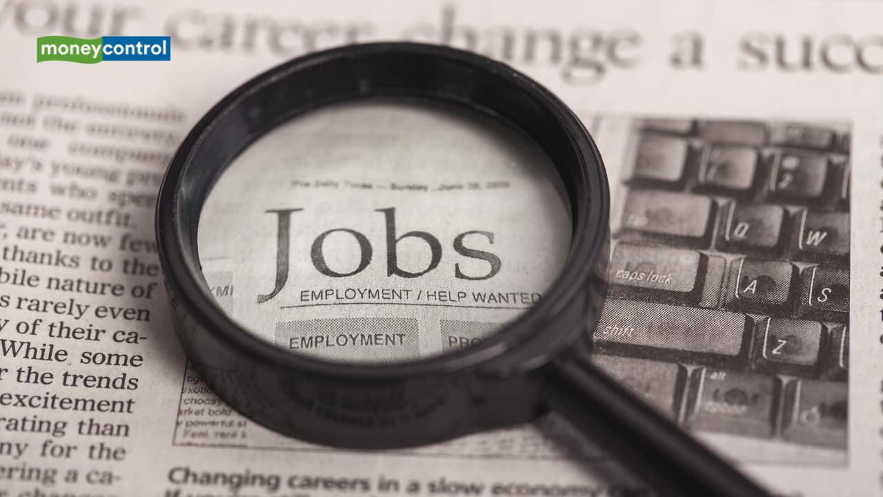 Steady jobs, stronger loans: How your job and experience shape loan approvals