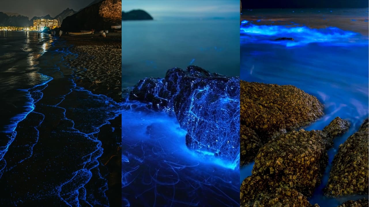 Oman’s Muscat beaches glow blue with rare bioluminescence, leaving visitors spellbound