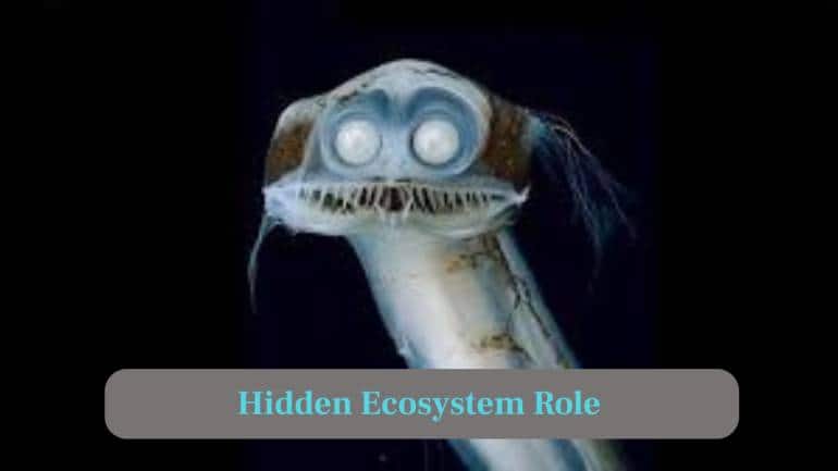 10. Hidden Ecosystem Role: Telescopefish contribute significantly to food chains, passing energy through deep ocean ecosystems often unseen by humanity. (Image: Canva)