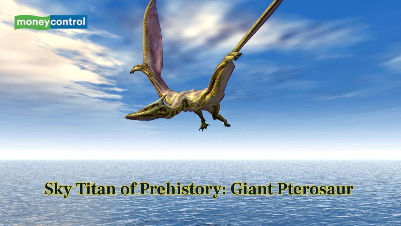 Giant Pterosaur: This sky titan of prehistory was larger than a T. rex