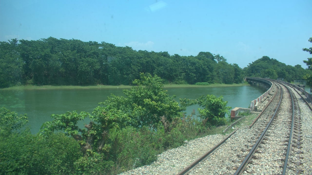UP Vistadome Jungle Safari Train (Image: UP Eco Board)