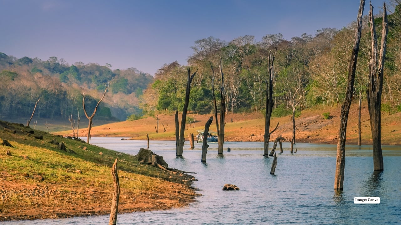 9. Periyar Wildlife Sanctuary, Kerala In the heart of the Western Ghats, Periyar blends serenity with wilderness. Its picturesque lake offers boat safaris where you can spot elephants, bison, and otters along mist-covered hills. November’s cool climate makes trekking and bamboo rafting particularly enjoyable. Tip: Try the bamboo rafting and jungle patrol for an eco-friendly, up-close wilderness experience.