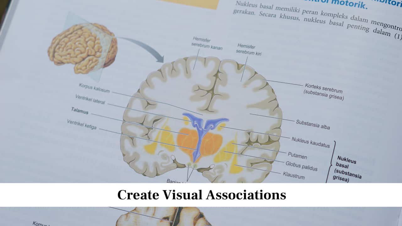 Create Visual Associations