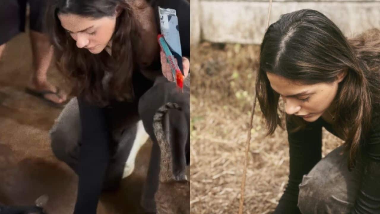 Saiyaara star Aneet Padda spends a heartfelt day with rescued strays at a Mumbai shelter