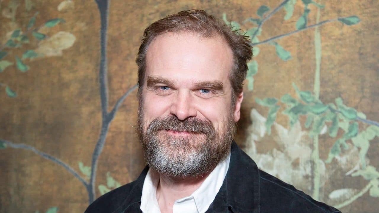 David Harbour faces allegations from Millie Bobby Brown and ex-wife Lily Allen ahead of Stranger Things Season 5
