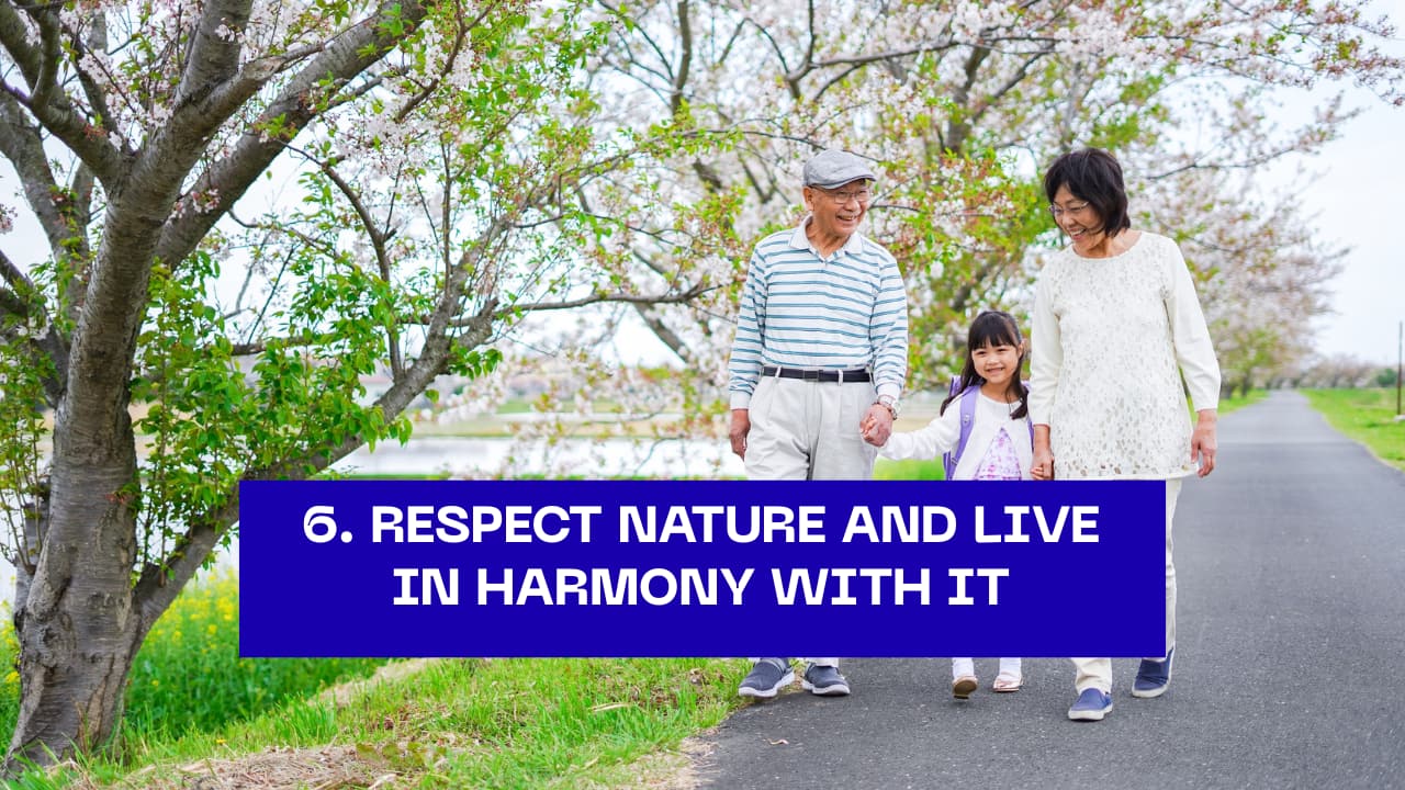 6. Respect Nature and Live in Harmony with It  Japanese life is deeply intertwined with nature — from cherry blossom festivals to forest bathing (Shinrin-yoku). Spending time outdoors restores peace, reduces stress, and reconnects you to life’s natural rhythm.