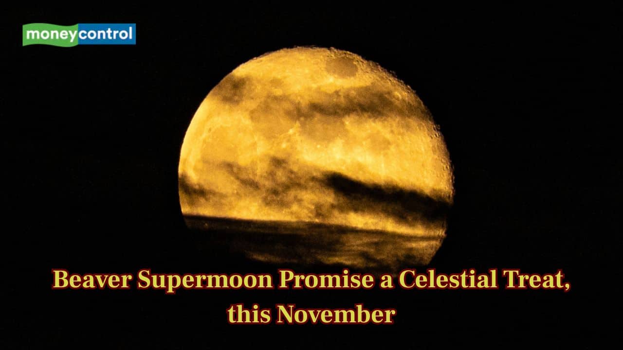 Beaver Supermoon promise a celestial treat – Here’s all you need to know