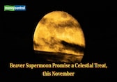 Beaver Supermoon promise a celestial treat – Here’s all you need to know
