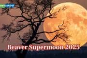 Beaver Supermoon 2025: Year’s biggest, brightest and closest Moon to light up the night on Nov 5
