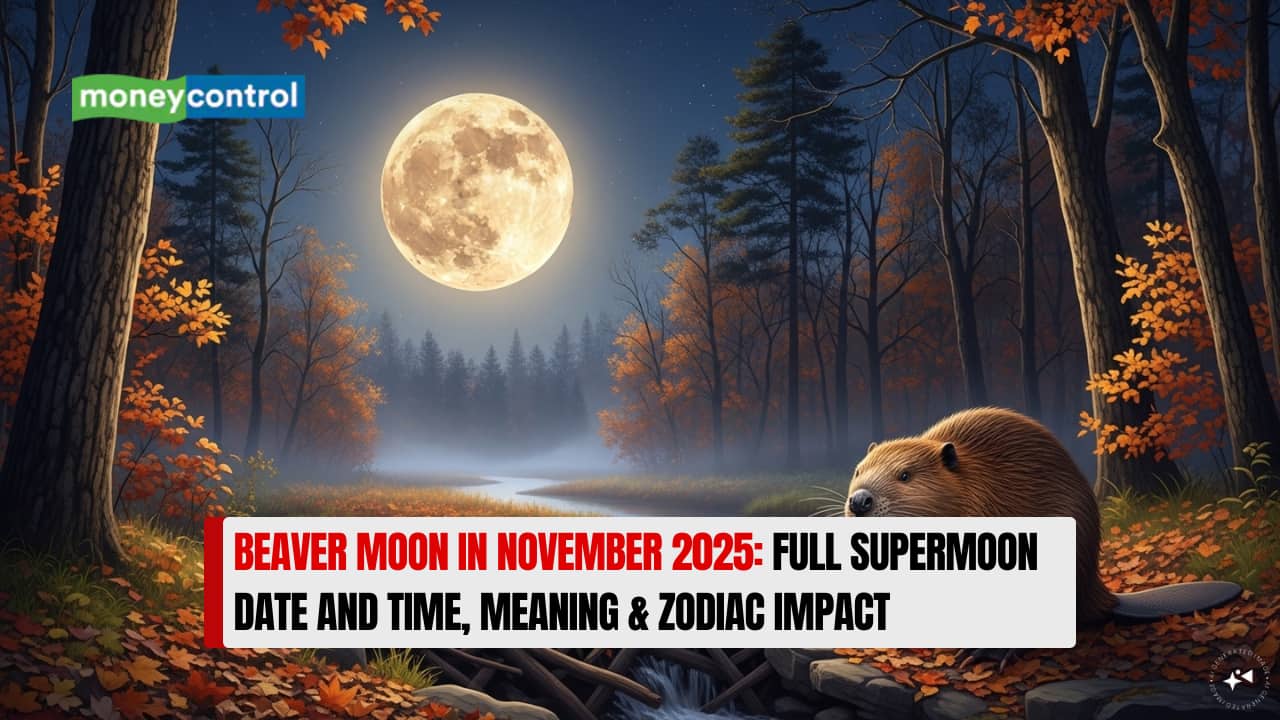 Beaver Moon in November 2025: Full Supermoon Date and Time, Meaning &amp; Zodiac Impact