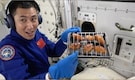 Chinese astronauts hold first-ever space BBQ, cook chicken wings aboard Tiangong