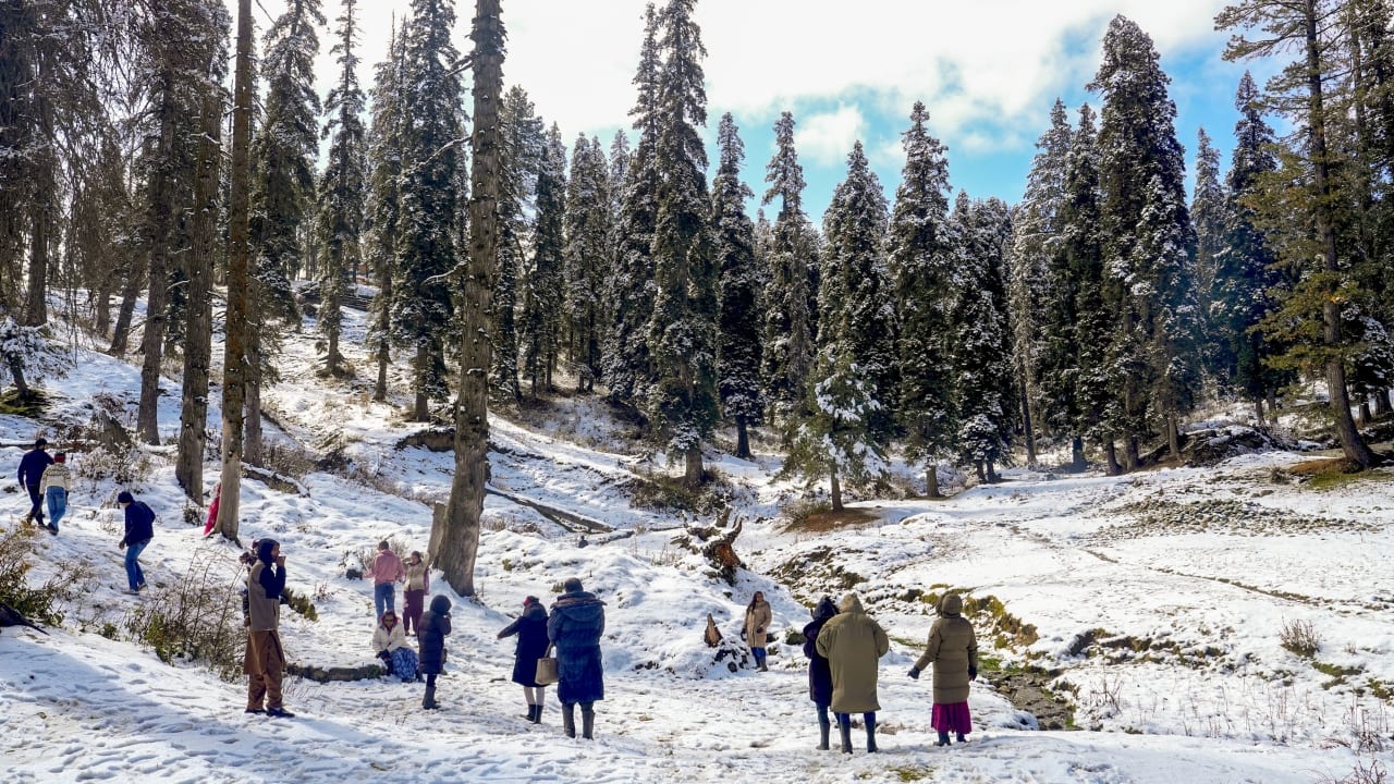 Gulmarg turns into a winter wonderland as season's first snowfall blankets the valley— see stunning pics
