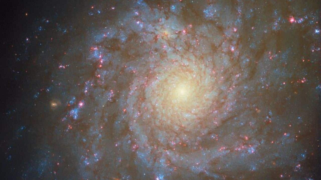 Hubble’s stunning view of spiral galaxy NGC 4571 reveals glowing star-forming nebulae and clusters, showcasing how cold gas clouds collapse under gravity to ignite new stars 60 million light-years away. (Image: ESA)