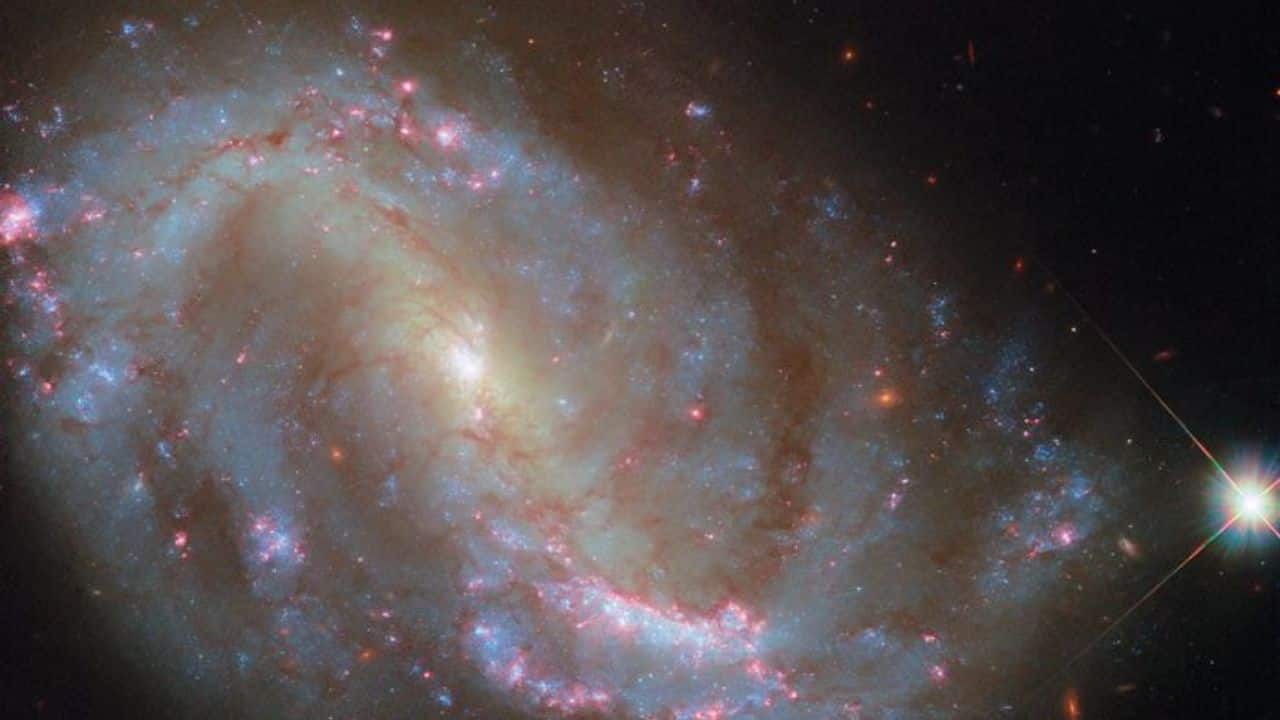 Hubble’s image of spiral galaxy NGC 7496 reveals young star clusters, glowing nebulae, and an active supermassive black hole 24 million light-years away in the constellation Grus. (Image: ESA)