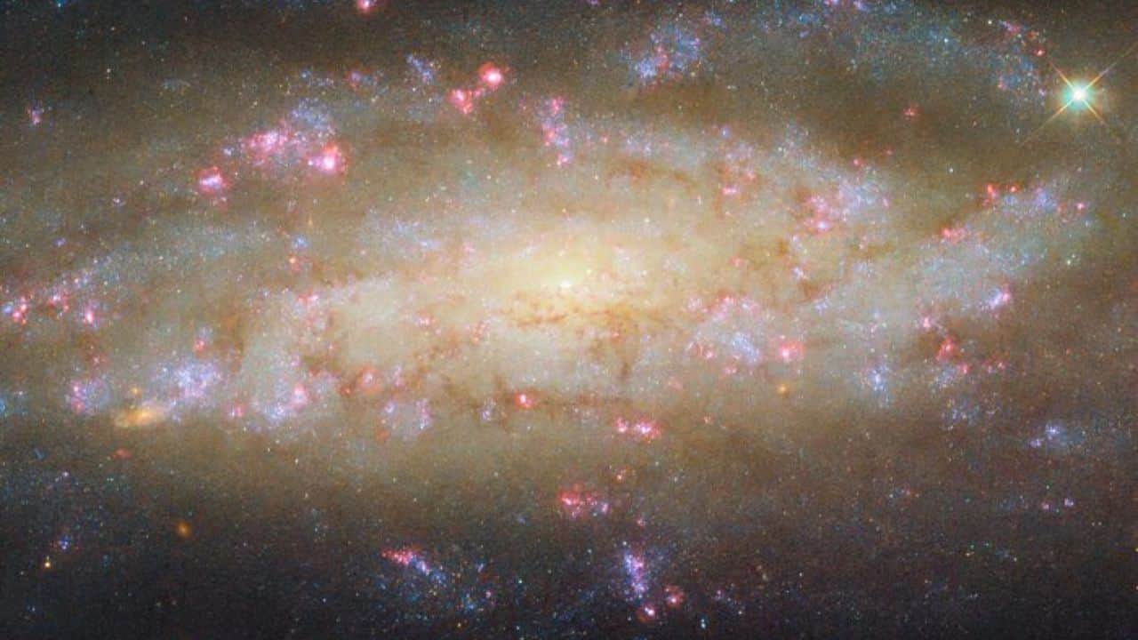 Hubble’s image of spiral galaxy NGC 7456, 51 million light-years away, reveals glowing star-forming regions, dark dust clouds, and powerful X-ray sources surrounding its energetic, active core. (Image: ESA)