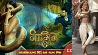 <strong>Naagin 3</strong><br />The story begins with two Icchadari Naags, Ruhi and Vikrant, who are about to marry after 100 years. A group of wealthy, spoiled hooligans, led by Yuvraj Sehgal, harass Ruhi and brutally murders Vikrant. Ruhi is devastated and vows revenge on the murderers. It featured Surbhi Jyoti, Karishma Tanna, Anita Hassanandani and Pearl V Puri in significant roles.