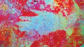 Spain is the oldest dated cave painting, with a minimum age of 66,700 years. (Image: (Hoffman et al/ Science)